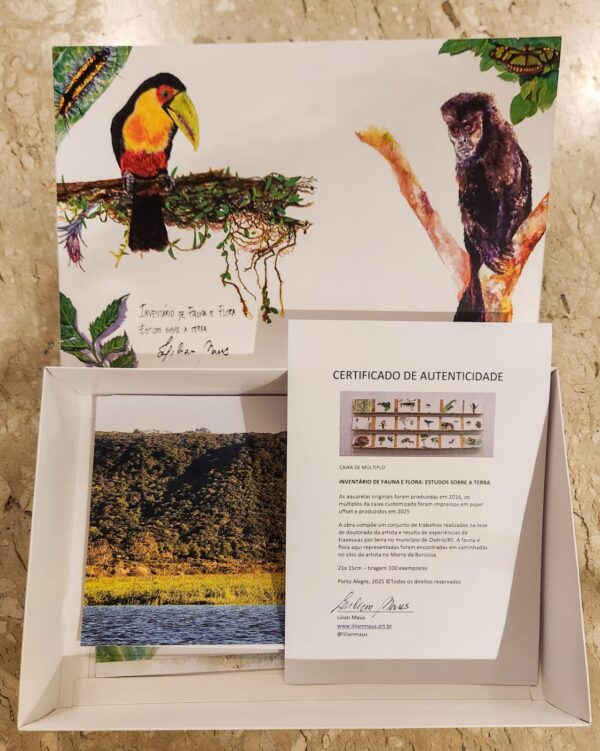 Caixa de múltiplos, 2025