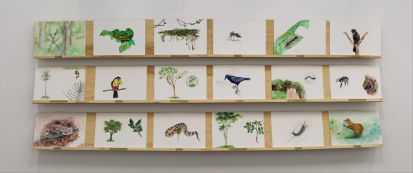 Caixa de múltiplos, 2025