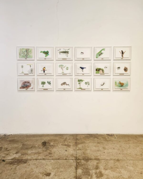 Caixa de múltiplos, 2025